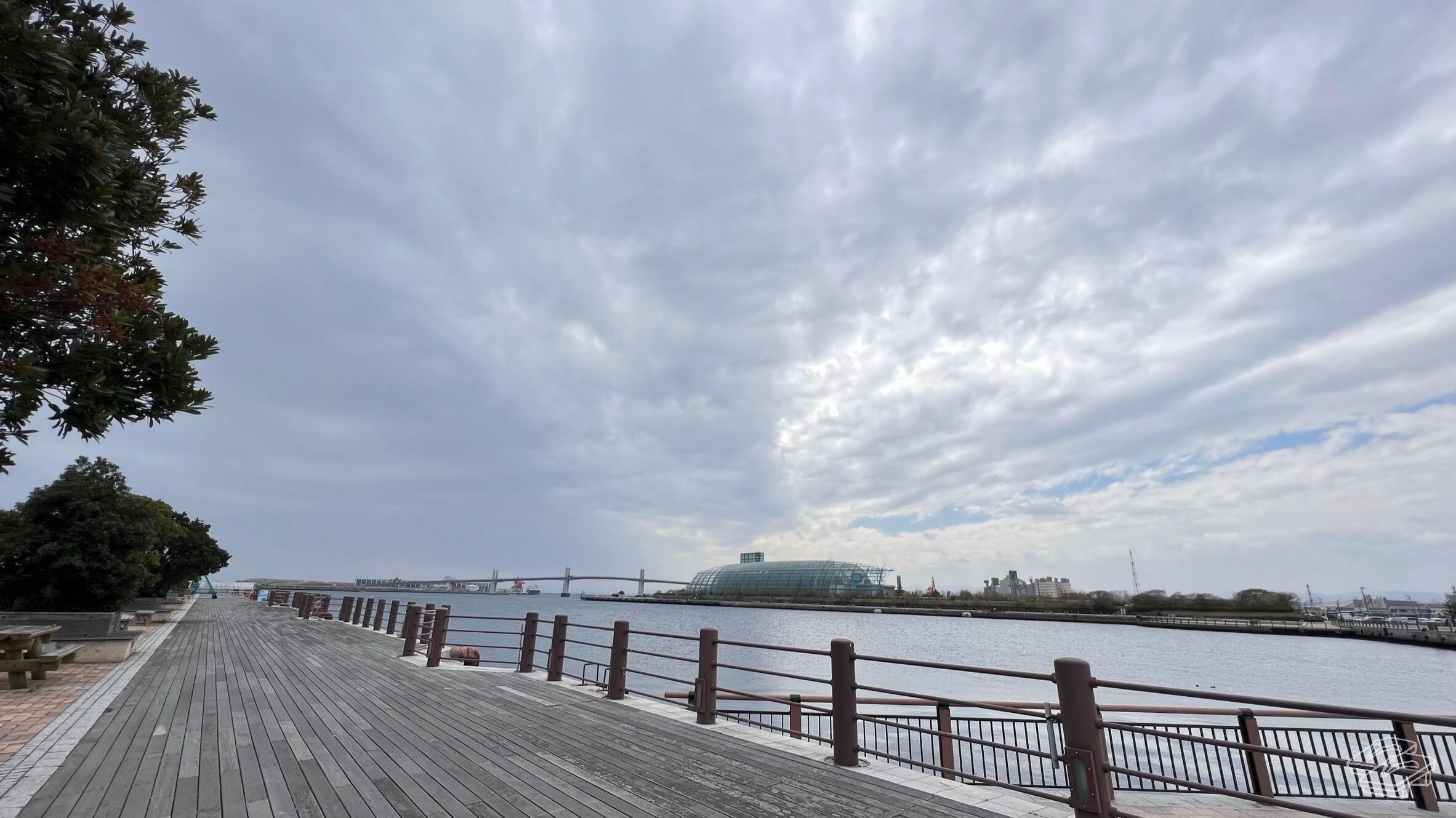 免許講習受けてきた